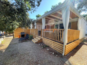 Mobile Homes Sea Princess